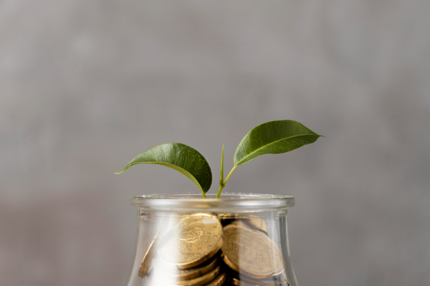 I Finally Started Investing: My First Terrified Steps with a Stocks & Shares ISA